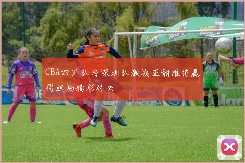 CBA四川队与深圳队激战正酣谁将赢得这场精彩对决