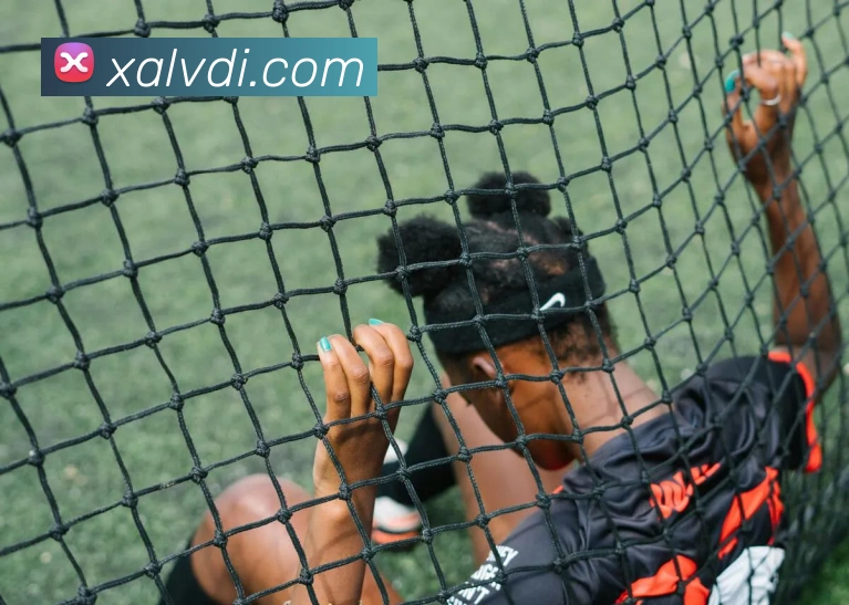 ld乐动品牌故事