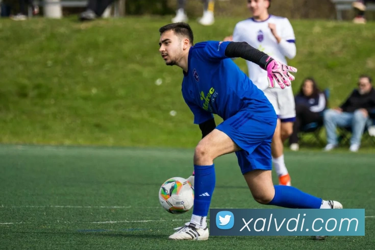 ld乐动服务体系